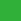 Vert Hawaiian Palm
