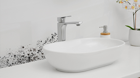 Moisissure dans la salle de bain : comment s'en débarrasser ?