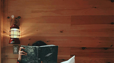 Mur en bois dans un salon : lequel choisir ?
