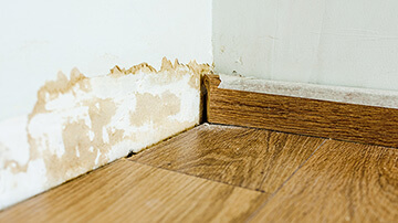 Mur humide salle de bain
