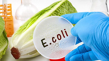 Protocole de desinfection des fruits et des légumes