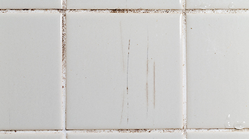Comment régler les problèmes d’étanchéité de la douche ?