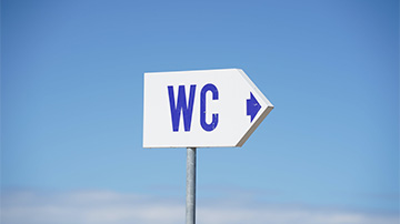 Quel revêtement mural de WC choisir ?