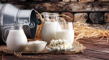 Agencement et equipement des laboratoires de fromagerie en circuit court