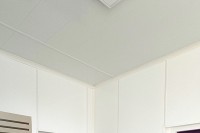 Plaques de lambris collées pour le plafond d'un laboratoire alimentaire