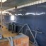 Salle de traite équipée de plaques de PVC grises