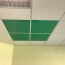 Dalle de faux plafond verte en situation (777)