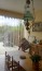 Rideaux à lanières PVC vue de l'intérieur d'un garage