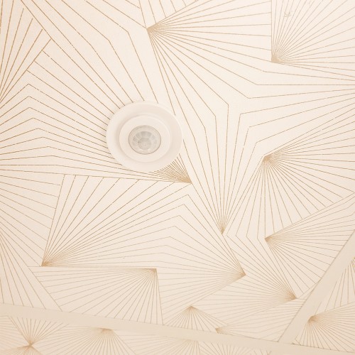 dalle ombelle couleur dune utiliser pour rénover un faux plafond