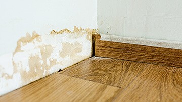 Mur humide salle de bain