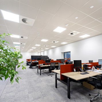 dalle faux plafond calcaire open space