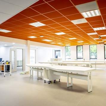 salle faux plafond ambre bureaux