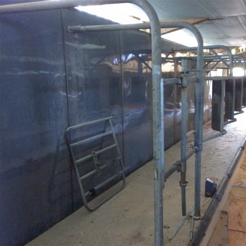 Salle de traite rénovée avec des plaques de PVC grises